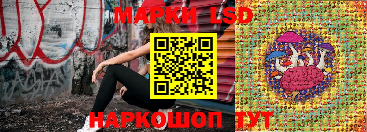 где купить наркоту  Вход с VPN  Зеленогорск  Марки N-bome  Марки N-bome 1500мкг  Марки N-bome 1500мкг 