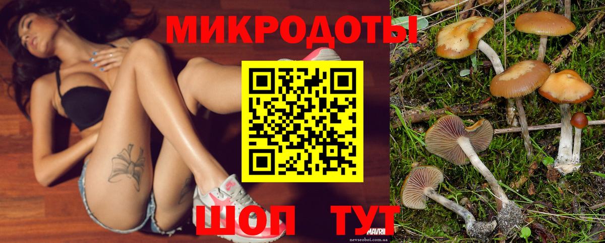 Галлюциногенные грибы Psilocybine cubensis Зеленогорск